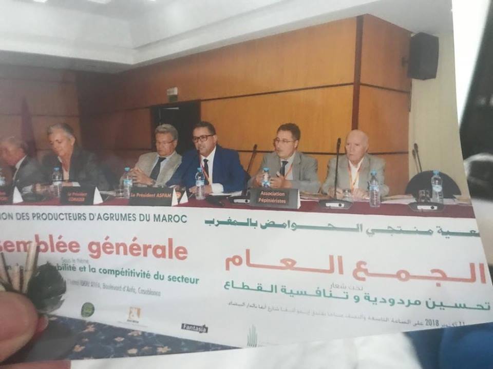 اعادة انتخاب جريد على راس جمعية منتجي الحوامض بالمغرب