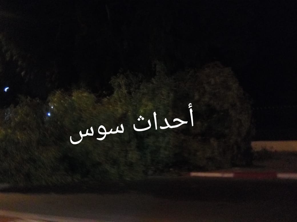 اكادير : سقوط شجرة كبيرة بالقصر الملكي العامر و على قارعة الطريق تستنفر الأجهزة الأمنية