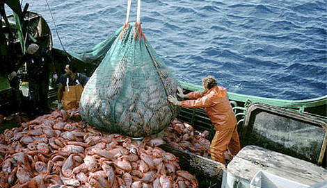 التصويت على اتفاق الصيد البحري سيعزز الشراكة بين المغرب والاتحاد الأوروبي