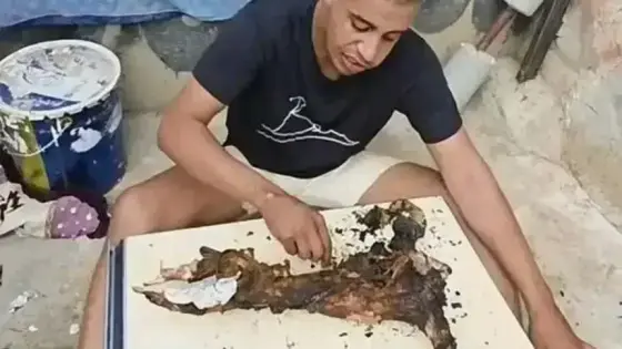 تفاصيل الحكم على “بن نسنس” بسبب فيديو عيد الأضحى