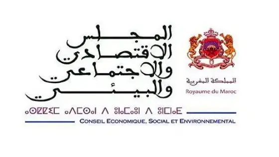 المجلس الاقتصادي والاجتماعي والبيئي يدعو إلى تحسين جودة التعليم عن بعد
