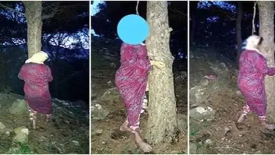 حالة انتحار غامضة لسيدة ناحية تارودانت