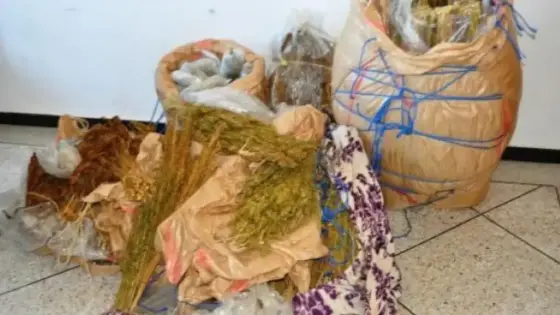 أكادير .. أمن تيكوين يحد من نشاط تاجر الكيف الملقب ب ( جافيل )