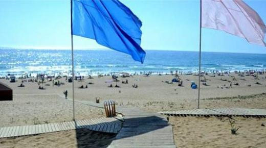 متطوعون مغاربة وأجانب ينخرطون في حملة نظافة لشاطئ أكادير