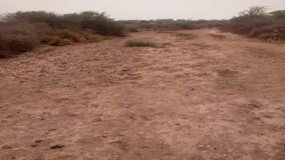 حتى لا تتكرر فاجعة تيزرت.. البناء وسط مجرى مائي يهدد سلامة ساكنة جماعة إسن ضواحي أولاد نايمة
