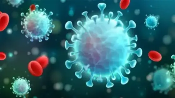 أستراليا.. تسجيل صفر إصابات محلية بفيروس كورونا لليوم الـ37 على التوالي