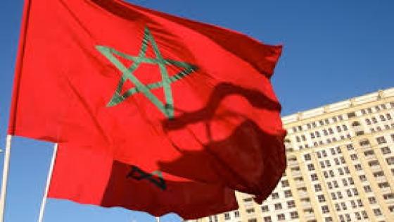 إدانة بالإجماع لتدنيس العلم الوطني خلال مظاهرة في باريس