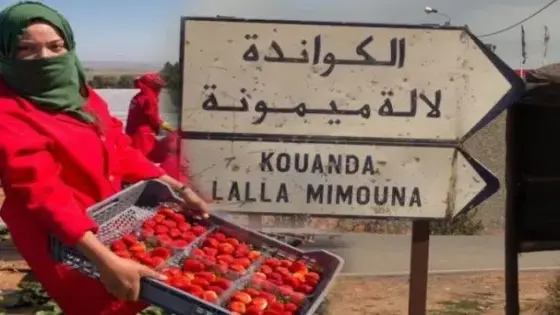 بؤرة لالة ميمونة : النيابة العامة تقرر متابعة بعض المسؤولين عن تسيير ثلاث وحدات إنتاج،