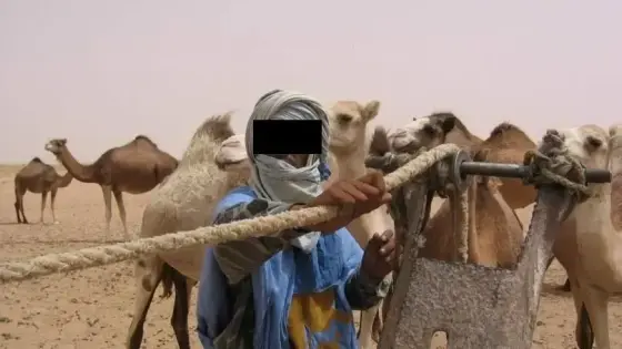 “مافيا الرحل” هجوم في عز الحجر الصحي بسوس و ايت باعمران