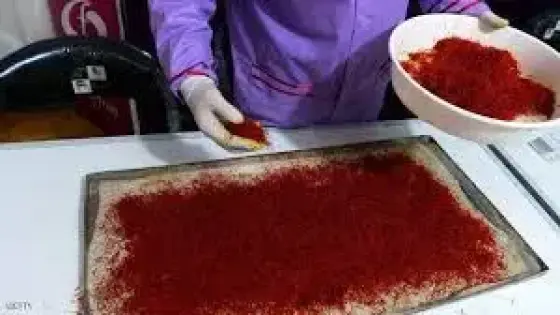 زعفران تالوين.. رحلة البحث عن أغلى أنواع التوابل وأكثرها طلبا في العالم