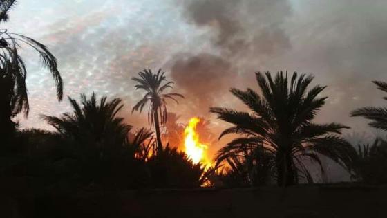 إحتراق ” واحة النخيل ” بتغجيجت نواحي گلميم
