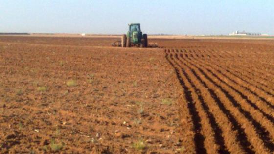 التساقطات المطرية الأولى تنعش آمال الفلاحين
