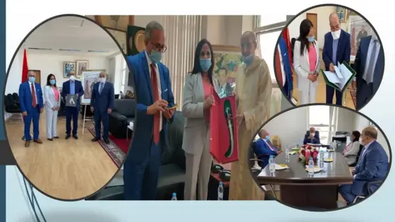 الرئيس الأول بمحكمة الاستئناف بأكادير و الوكيل العام للملك بها يعقدان لقاءا تواصليا مع السيدة امينة بوعياش رئيسة المجلس الوطني لحقوق الانسان