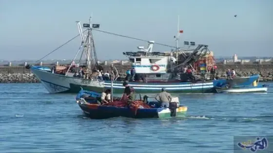 مندوبية الصيد البحري بأكادير تقرر وقف رحلات الصيد أربعة أيام