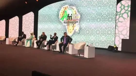مراكش.. استمرار فعاليات الدورة الثامنة لقمة منظمة المدن والحكومات المحلية المتحدة الإفريقية “أفريسيتي”
