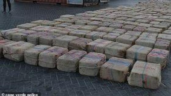 حجز 695 كيلوغراما من مخدر الشيرا وتوقيف سبعة أشخاص