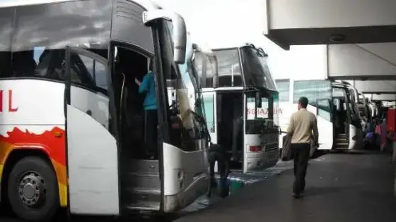 تخفيف الحجر الصحي.. وزارة التجهيز والنقل تدعو مهنيي النقل العمومي للمسافرين إلى مواصلة الالتزام بدفتر التحملات