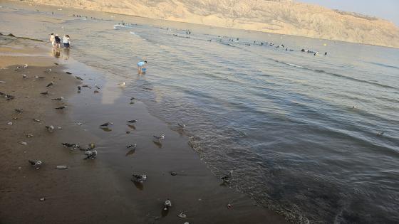 شاطئ إمسوان… جمال طبيعي يهدده الإهمال والنفايات