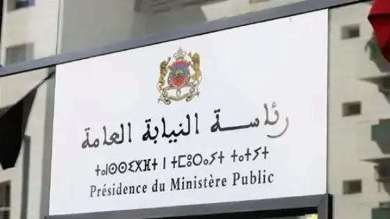 رئاسة النيابة العامة تصدر تعليماتها لفتح بحث قضائي حول مزاعم وادعاءات صادرة عن صحف أجنبية