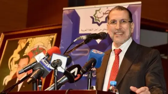 العثماني: هناك مؤشرات على أن نسبة الإقبال على مكاتب التصويت ستكون مهمة