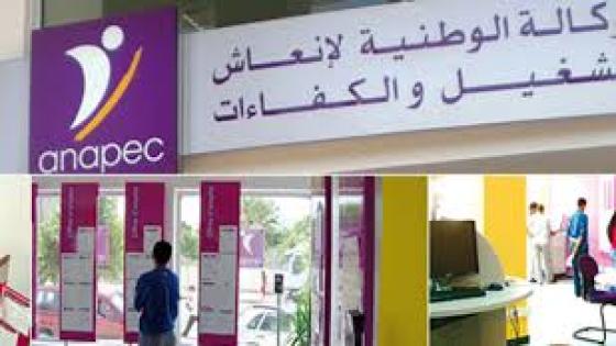 التشغيل في 2020.. 54 في المائة من النشيطين المشتغلين لا يتوفرون على أية شهادة