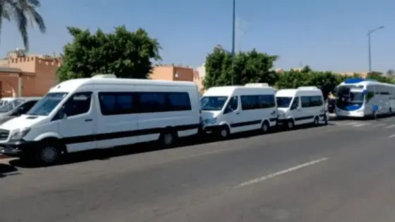 فيدرالية النقل السياحي:الحكومة مطالبة بتلقيح العاملين في قطاع السياحة في حال فتحت الحدود