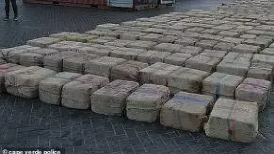 حجز 695 كيلوغراما من مخدر الشيرا وتوقيف سبعة أشخاص