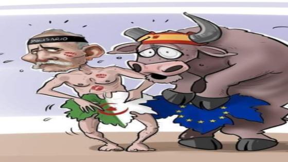 “تحقيقات غالي” تبقى مفتوحة بمدريد