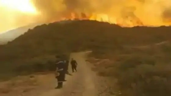 حريق يأتي على غابة نواحي اشتوكة