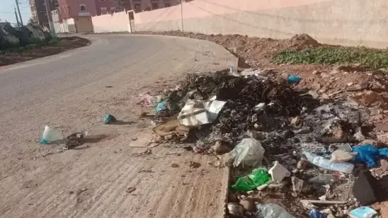 احراق حاويات الأزبال يقض مضجع مواطني التمسية
