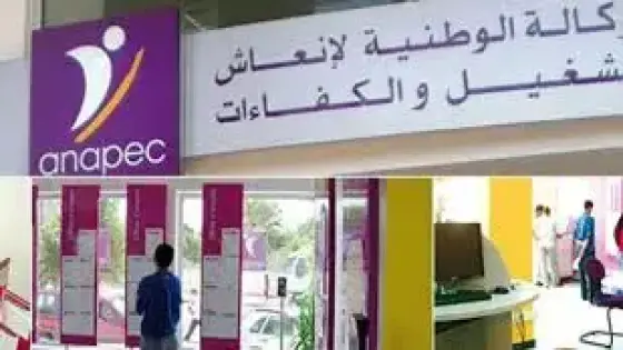 التشغيل في 2020.. 54 في المائة من النشيطين المشتغلين لا يتوفرون على أية شهادة