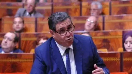 أخنوش يبشر بموسم فلاحي جيد المحصول الوطني من الحبوب لهذه السنة سيكون جيدا و75% من المساحات المزروعة في وضعية جيدة