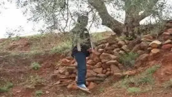 ” أربعيني” يقتل نفسه شنقاً نواحي أمسكرود