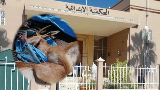 تأجيل محاكمة قناصي الغزال بتزنيت
