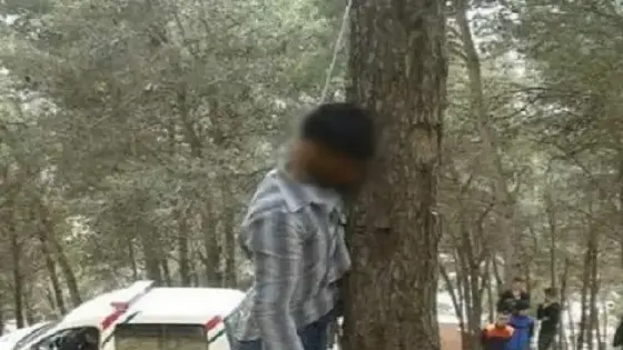استنفار أمني كبير بعد العثور على “باشا” مشنوقا وسط غابة