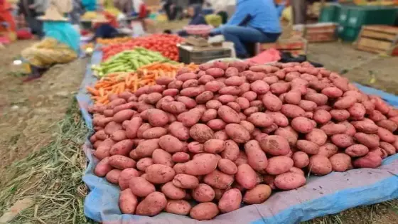 لجن تراقب جودة المواد الاستهلاكية بعدد من المحلات التجارية ببيوكرى