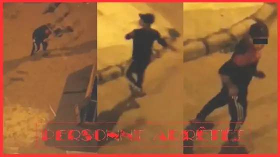 بعد ظهوره على شريط فيديو ، توقيف “هائج ” ألحق خسائر بالممتلكات العامة