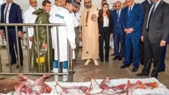 جلالة الملك يُدشن نقطة تفريغ مجهزة لمنتوجات البحر بإيموران نواحي أكادير