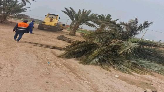 سلطات أيت ملول تتدخل لإزالة مخلفات الرياح القوية بحي تگوت بالمزار