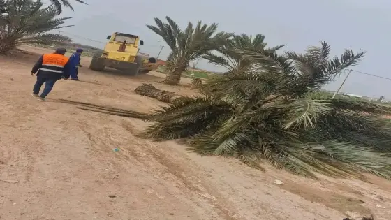 سلطات أيت ملول تتدخل لإزالة مخلفات الرياح القوية بحي تگوت بالمزار