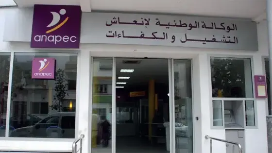 (أنابيك): إدماج أزيد من 118 ألف باحث عن الشغل في الوسط المهني خلال 2019