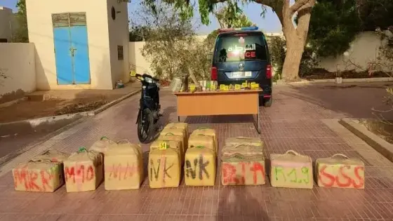 إجهاض عملية لتهريب المخدرات بمدينة طانطان، وحجز 610 كيلوغرام من مخدر الشيرا