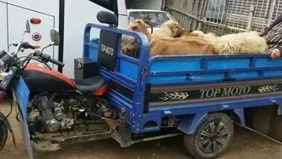 هكذا تمكنت المصالح الأمنية بإنزكان من اسقاط عصابة “الفراقشية” في حالة تلبس