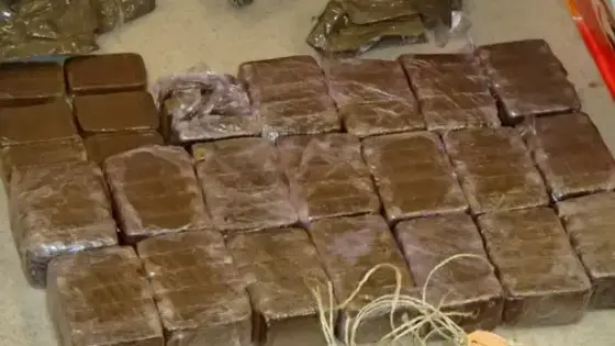 ميناء طنجة المتوسط.. إحباط محاولة لتهريب 450 كلغ من مخدر الشيرا