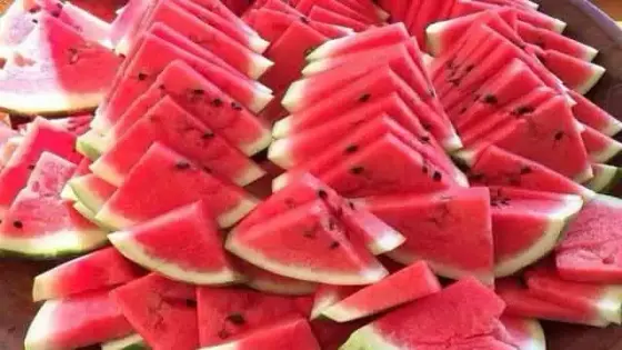 اونسا تكشف حقيقة مرض الدلاح وتصدر بلاغا