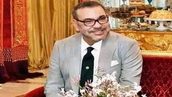 برامج وطنية فلاحية وغابوية جديدة تكرس الرؤية الملكية لتنمية مستدامة وشاملة