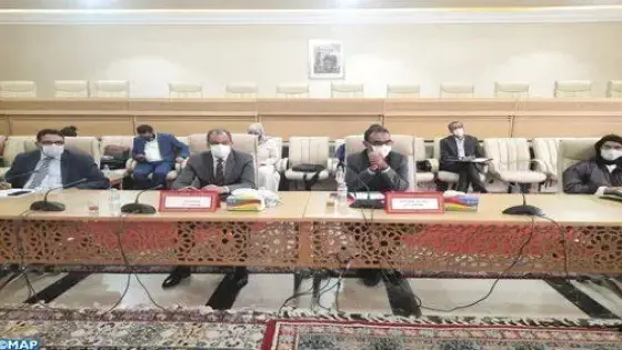كلميم .. إحداث لجنة لتتبع مشاكل منتوج الصبار في ظل تزايد انتشار الحشرة القرمزية