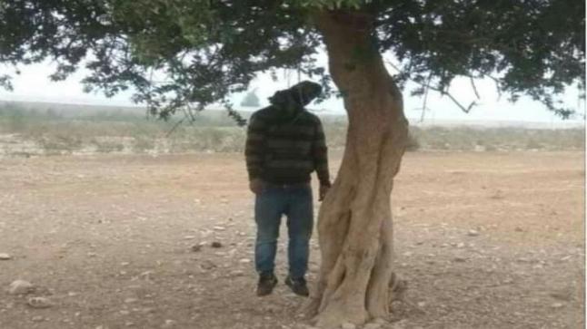 العثور على جثة مواطن معلقة بشجرة ضواحي أولاد تايمة 
