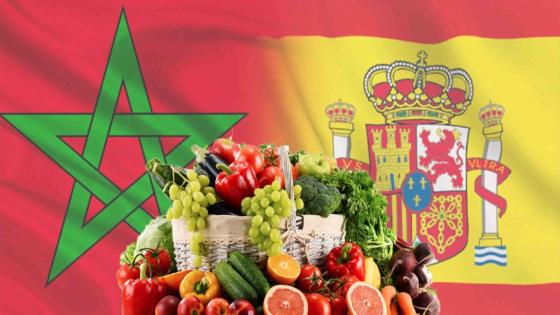 المغرب يعزز ريادته كمصدر للفواكه والخضر نحو إسبانيا