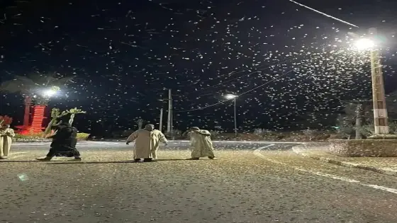 تزنيت.. جماعة أملن تنفي وصول الجراد الصحراوي إلى ترابها